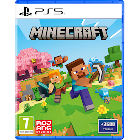 Video game Minecraft PS5